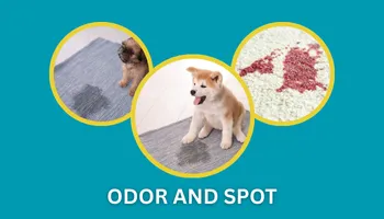Odor and Spot Methods